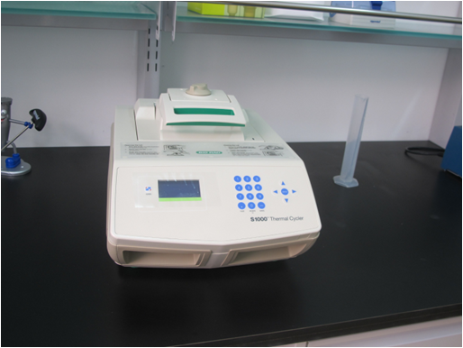 PCR扩增仪.png